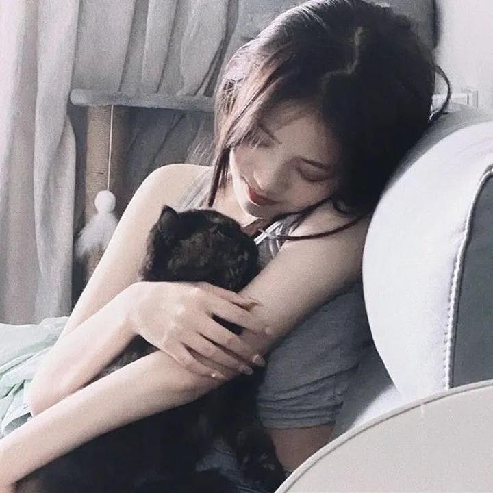 梅费尔行动