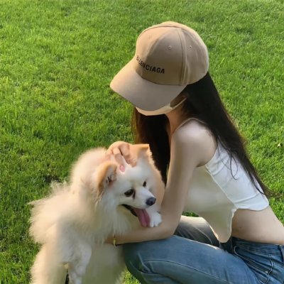 年度鸟事